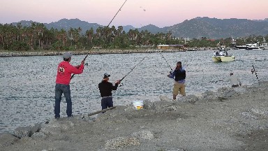 Group Fishing Activity in Los Cabos
