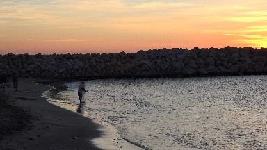 Golden Afternoon in Los Cabos