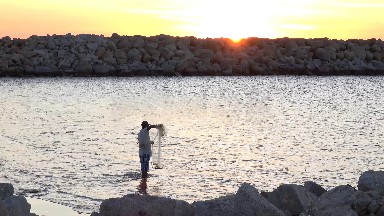 A Hardworking Fisherman in Los Cabos