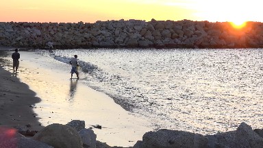 A Great Fishing Day in Los Cabos