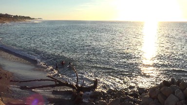 Fishing Under a Golden Sun in Los Cabos