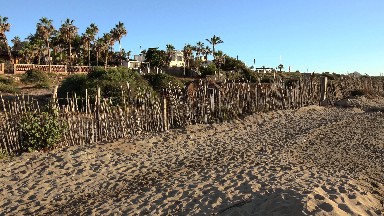 Relaxing Happy View in Los Cabos