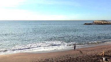 One Fish-ful Day in Lo Cabos
