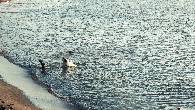 Father & Son Fishing in Los Cabos