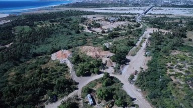 Green Trees in Los Cabos - Aerial view