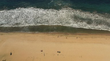 The Deep Beautiful Sea in Los Cabos