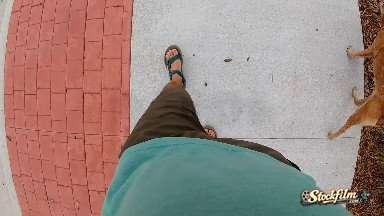 Mans Feet and Dog Paws Walking Down Sidewalk. Denver, Colorado.