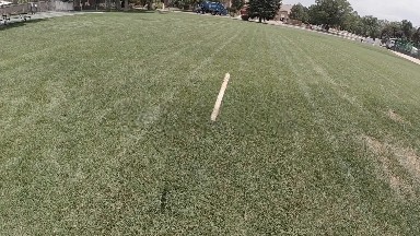 Hand Throwing Stick in Park. Denver, Colorado