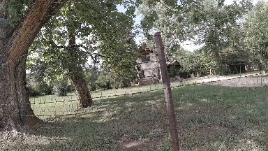COLORADO, UNITED STATES-2019: A House in the Middle of Forest