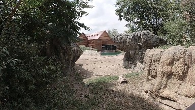 COLORADO, UNITED STATES-2019: The Animal House in Zoo