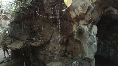 At the Zoo - The Little Fountain