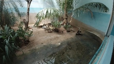 COLORADO, UNITED STATES-2019: At the Zoo - An Empty Viewing Room