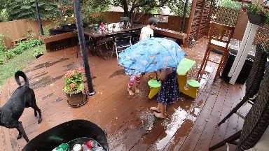 Dog Standing On A Deck With A Umbrella