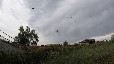 Many Birds Flying In The Sky Over A Hill