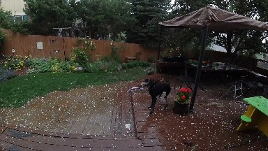Covered Patio With Umbrella And Chairs In Backyard With Rain