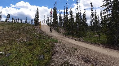 Person Riding A Bike Down A Dirt Road