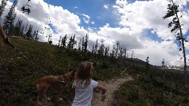 Woman And A Dog Walking Down A Trail