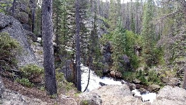 Stream Running Through A Forest With Rocks And Trees