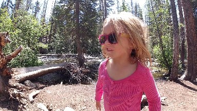 Girl In Sunglasses Standing In The Woods Near A Stream