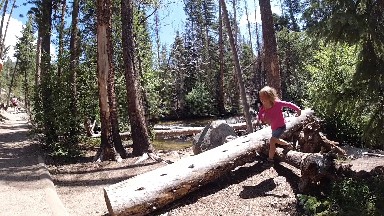 Little Girl That Is Standing On A Log