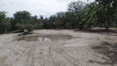 Dirt Road With A Puddle In The Middle