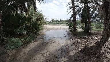 Dirt Road With A Puddle Of Water On It
