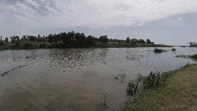 Large Body Of Water With A Tree In The Background