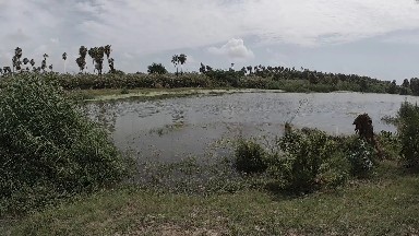 Man Standing In Front Of A Lake With A Dog