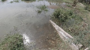 Small Pond With A Wooden Bench In It