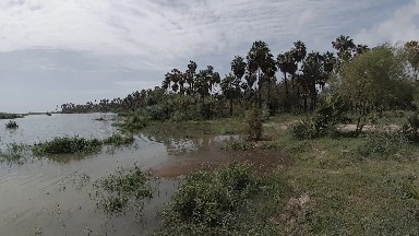 Body Of Water With Trees And Grass In The Background