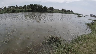 Large Body Of Water That Is In The Middle Of A Field