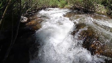 Stream Of Water That Is Flowing Through The Woods