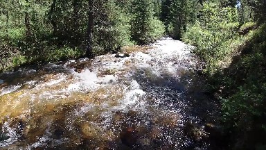 Stream In The Woods With Trees And Rocks