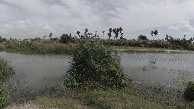 Body Of Water With Trees In The Background
