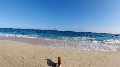 Walking On The Beach With Footprints In The Sand