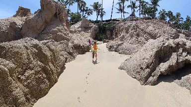 Walking On A Sandy Beach With Palm Trees In The Background
