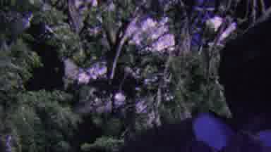 Aerial Tramway Palm Springs California USA (1964): Hill Covered With Snow Jagged