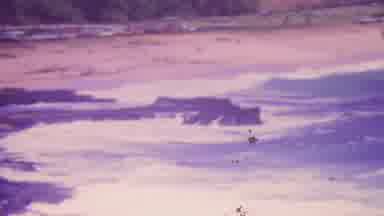 Honolulu Hawaii USA (1964): Wave Passing While A Boat Sails And A Man Surfs