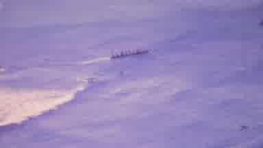 Honolulu Hawaii USA (1964): Boat In Water Traveling With People Abroad In A Calm