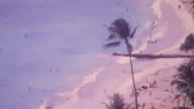 Honolulu Hawaii USA (1964): Ocean Waves People Beach Relaxing Bright Sun Palm