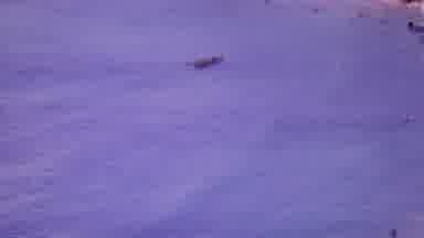 Honolulu Hawaii USA (1964): Far Away View Of Several People In A Boat Or Canoe