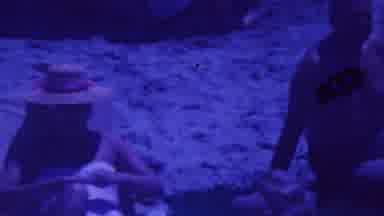 Palm Springs California USA (1964): Fun In The California Sun