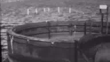 Pearl Harbor Hawaii USA (1962): Concrete Holding Tank Near The Shore In The Water