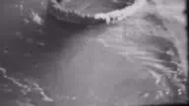 Pearl Harbor Hawaii USA (1962): Running Water Over The Icy Shoreline