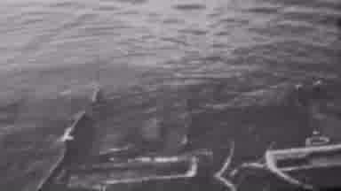 Pearl Harbor Hawaii USA (1962): Sunken Remains Of Ship Or Equipment Beneath Water