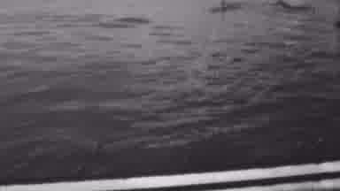 Pearl Harbor Hawaii USA (1962): Sailors In Uniform In White Walk On A Ship And