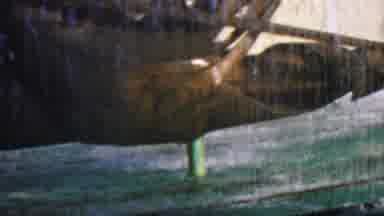Disneyland Los Angeles California USA (1964): Water Features/Running Fountain