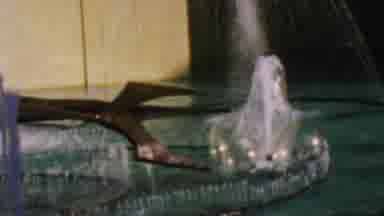 Disneyland Los Angeles California USA (1964): Video Of A Fountain Splashing Water