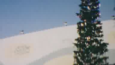Disneyland Los Angeles California USA (1964): Couple Walking By Christmas Tree