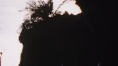 Disneyland Los Angeles California USA (1964): Birdy Running Wild In At The Zoo